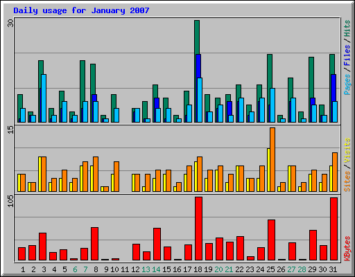 Daily usage for January 2007