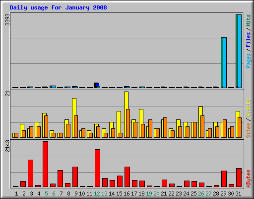 Daily usage for January 2008