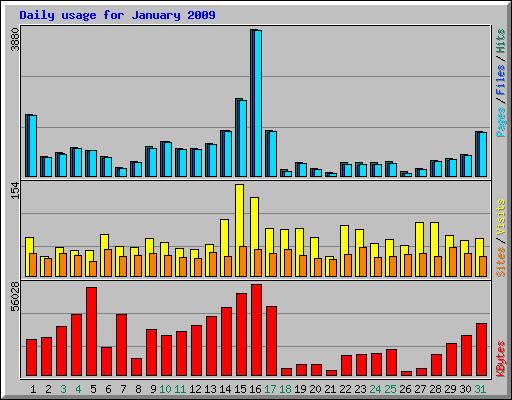 Daily usage for January 2009