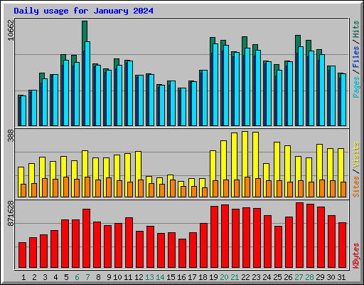 Daily usage for January 2024