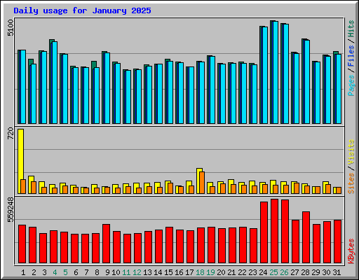 Daily usage for January 2025