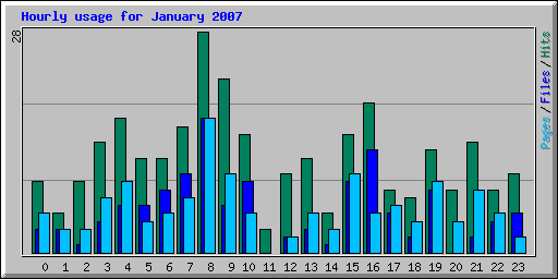 Hourly usage for January 2007