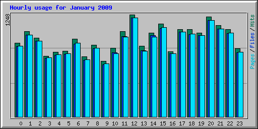 Hourly usage for January 2009