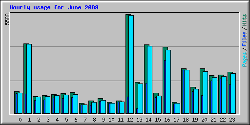 Hourly usage for June 2009