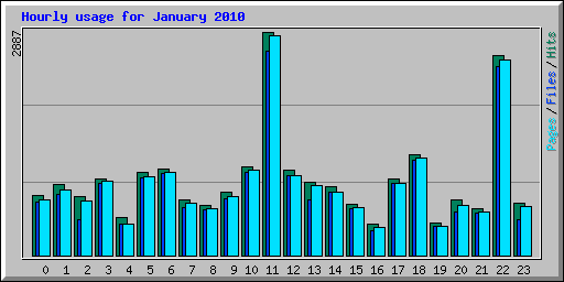 Hourly usage for January 2010