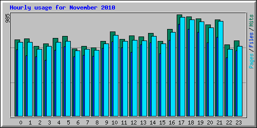 Hourly usage for November 2010