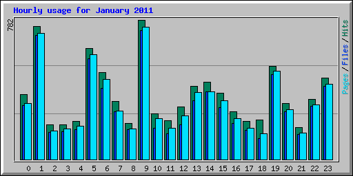 Hourly usage for January 2011
