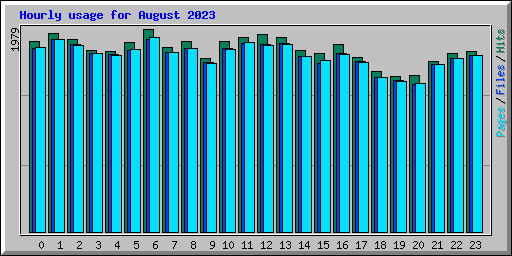 Hourly usage for August 2023