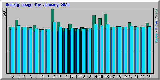 Hourly usage for January 2024