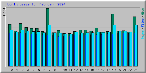 Hourly usage for February 2024