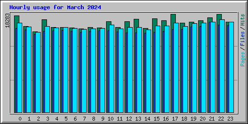 Hourly usage for March 2024
