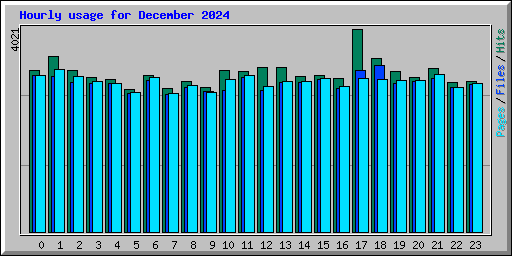 Hourly usage for December 2024