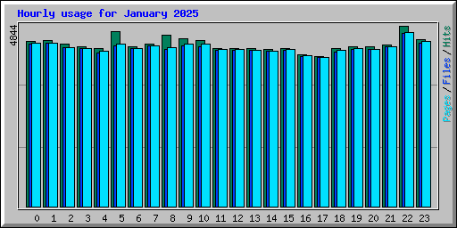 Hourly usage for January 2025