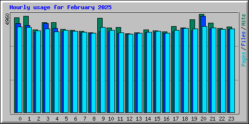 Hourly usage for February 2025