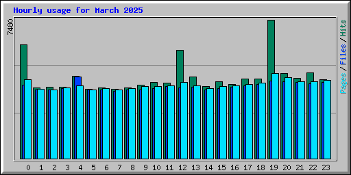 Hourly usage for March 2025