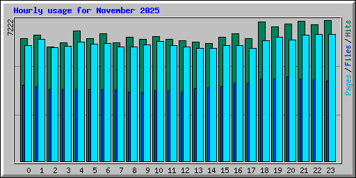 Hourly usage for November 2025