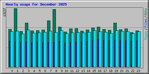Hourly usage for December 2025