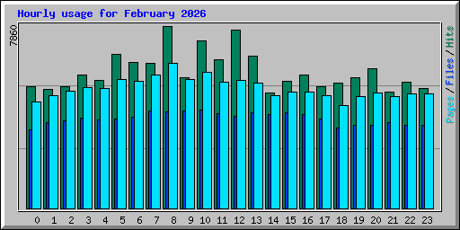 Hourly usage for February 2026